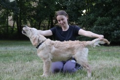 3e910b9263788d8bdeff52b612e8b660_246