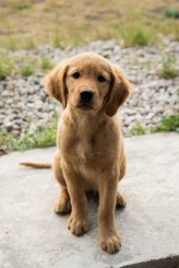 3e9ed93be4c8c63a7398ea4af115a438_164x245