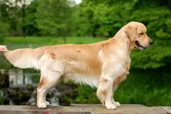 3ed67c33308df97a01e5f90cecf54047_246x164_fill