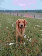 3f000be24d45afc3a4facf0d337f88a0_138x184_fill