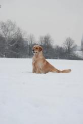 3f3246f263481b42a1e7ae5223df0f8c_164x244