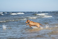 3f33d938253e44829055510ce00f5ce8_194