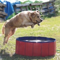 3f39e64b9141ebf0d1771cf9dadd4fef_200x200_fill