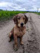 3f4e15943d43a76e6127b0cef30b3e59_138x183