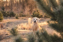 3f6565bf7c73ada400a778d3a7f6a6ed_246