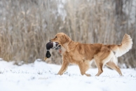 3fa667830e2cf494fbe8533971a67ede_194