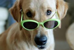 3fb9d8b6b99c75eb69030f08c8fe5518_244