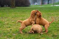 400ae41ab319cf17fd64961ce13c028a_195x130_fill