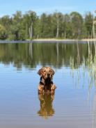 4014a8d02feec146a8e120b71ba3a312_138x184_fill