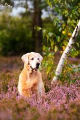 406f98fe712127e3f176fc43e4688f55_164x246