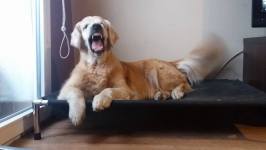 409489b210c729939c259fa1d45ae374_266