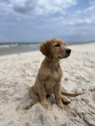 40984afef34f691287037340c667c6b1_138x184_fill