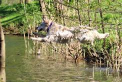 40d79cdf408edde99208b636d925ca37_245