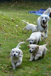 40f4f4543ba56fc20c310eb8b4aaa5ce_164x245