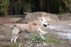 40ff87f1865076d95793777cbfabf3c4_246