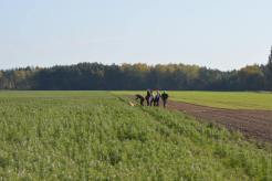 4113749cd798b590c6e383ab6bc1ed01_246