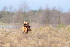 413392d7bd2ba89b5d4014dfdc477575_245