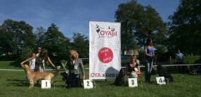 4134ed2515f691f44a5493113e7019e5_286