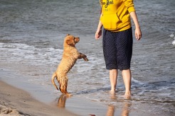 4146943e6248baaac8b97c52938e3f71_246