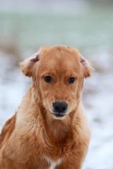 41992b72c12040e01eb92eb05fc7e602_164x246