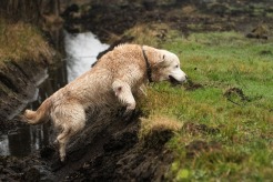 41b57f12d793c5e44d59ee46dcfa987e_246