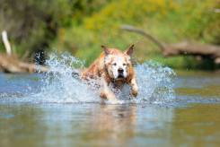 41b7484c700402f5b13f0c02cdba4707_245