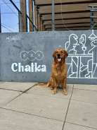 41bcb187f3a11b2a8289c8726c5f1926_138x184_fill