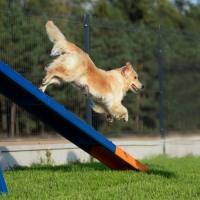 4251583d8e55daff2c46d9bdd72ea219_200x200_fill