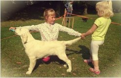 427c479c8d53e515dbc5326627523cf0_248