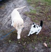 42abbbb6ca95353bf0143e743c5fb805_196x202