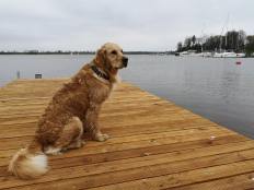 42c2b416d2c72ea3c556a56d6a4060ba_232x174_fill