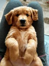 432c4ad12a3923437f39b364d241abb9_174x232_fill