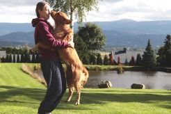 4332a542b1067e0a19add613be5cdff5_246