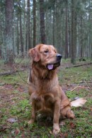 436393288c8ebab6b568c15a9cd7104a_130x195_fill