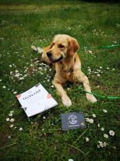 43722d0257fd5ea4808e59293485db9f_174x232_fill