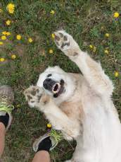 4372f745a19ad85b8456863175457fdb_172x229