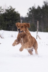 4395eb0962b83d63f9c9d730a0e02d1d_164x246