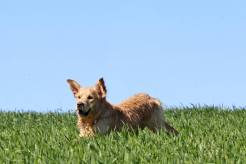 43a84b5ca2e0d2f8d55eae9321bff741_246