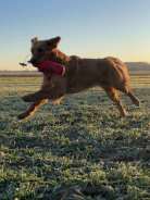 43c13dc68b3746d77a078cef2ce781c5_138x184_fill