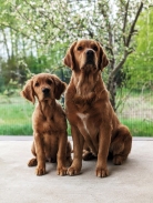 44391331b387ac4ca22913ac4f300d4f_138x183