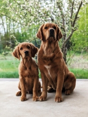 44391331b387ac4ca22913ac4f300d4f_174x231