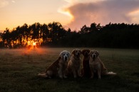 44484f3f152d5d90f5c22ccec1935c60_195