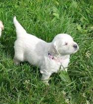 445aa0c932b62e10873c43324ff94989_188x211