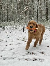 449c2496e82e05062e37af4fa9c9a4b9_174x232_fill