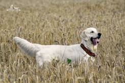 44b6813cbef092054eb9f36b46f7dc25_245