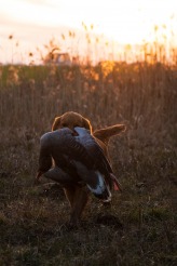 44e60366f208ba5ba0adc0bffb48db70_164x246