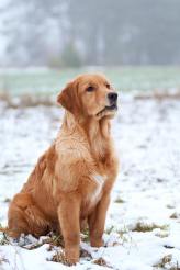 44ecaac6906a3ef1df330ad404c68163_164x246_fill