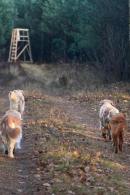 44eec72c23188664e841b3e252121d39_130x195