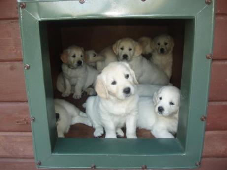 44f5374d91ca1eb96f97574eac2f86fe_461