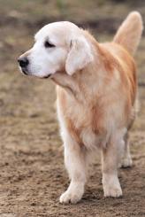 450484adbefd0f53779a2a6b5837d14a_164x245